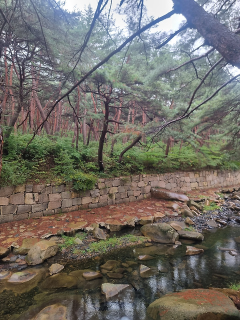 송수정카페