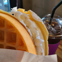 너보러