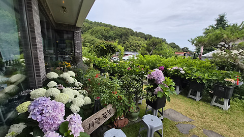 수안애뜰