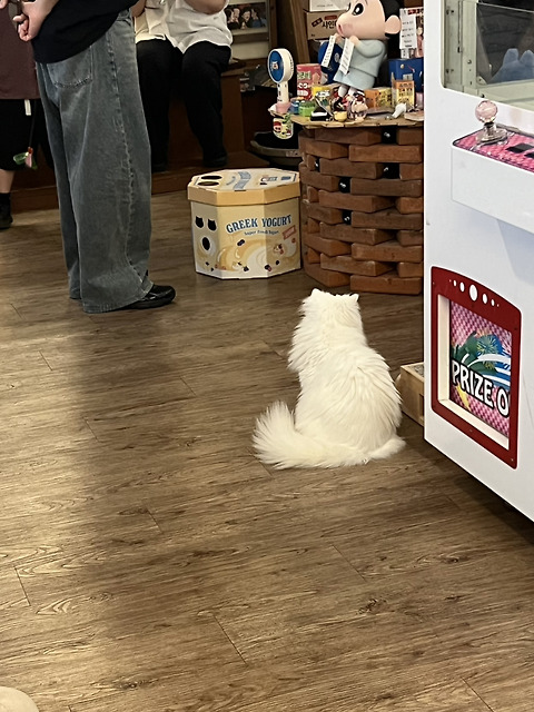호노보노