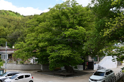 갤러리설우