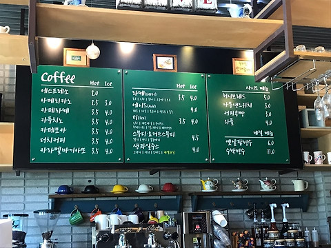 카페나무