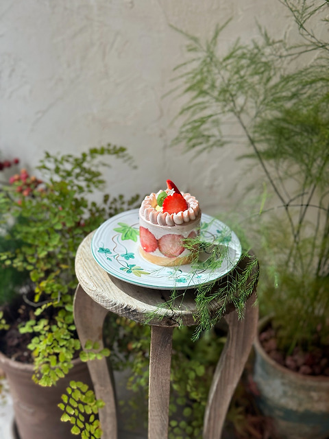 카스타니아