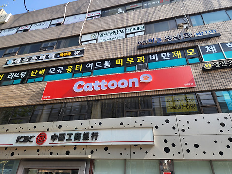 캣툰 건대점