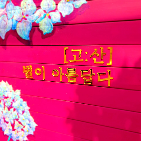 고산별이아름답다