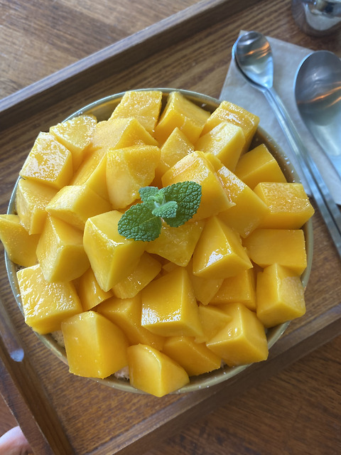 감귤체험 카페 귤한편