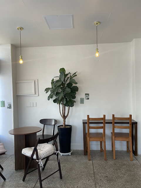 카페 메쥬