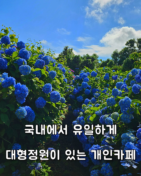 카페연이랑