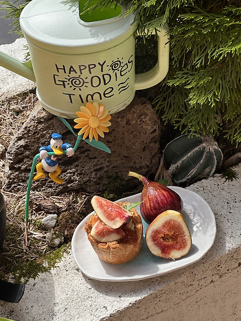 구디스파이 오천점