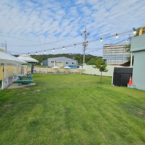 더멍스