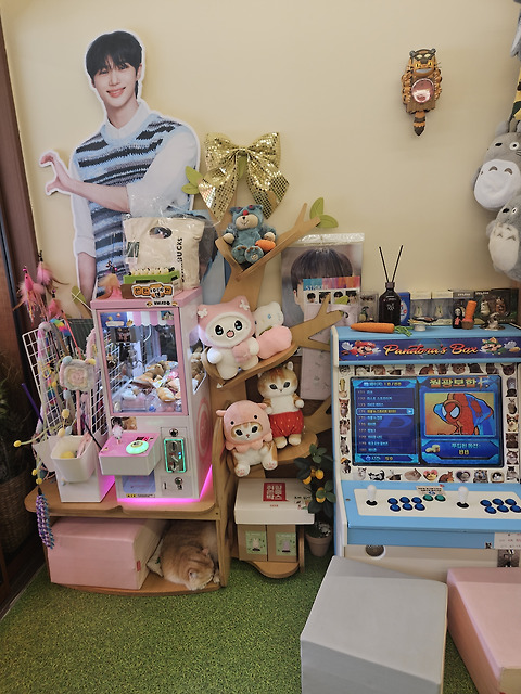 보보네코카페