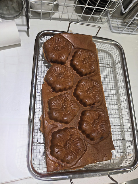 팥팥