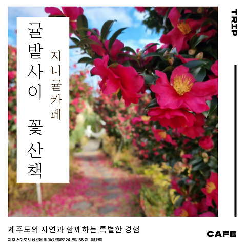 지니귤카페