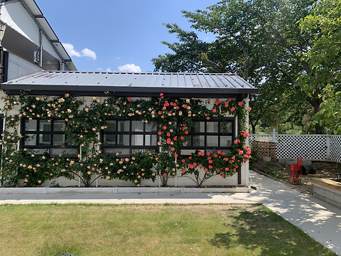 카페이오오