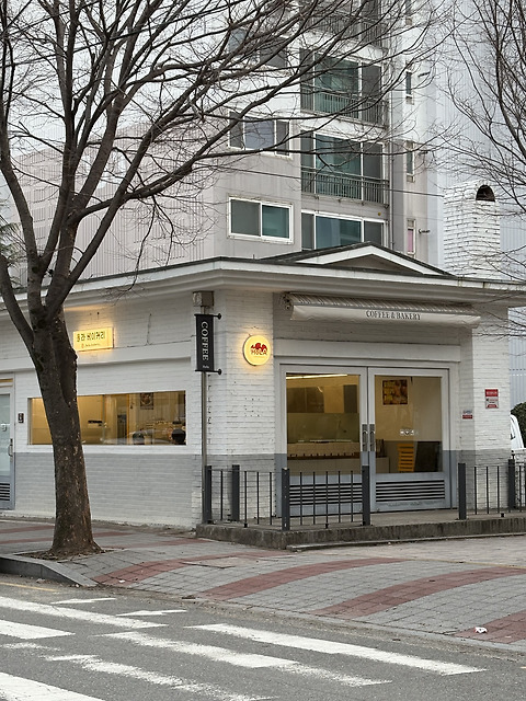 홀라