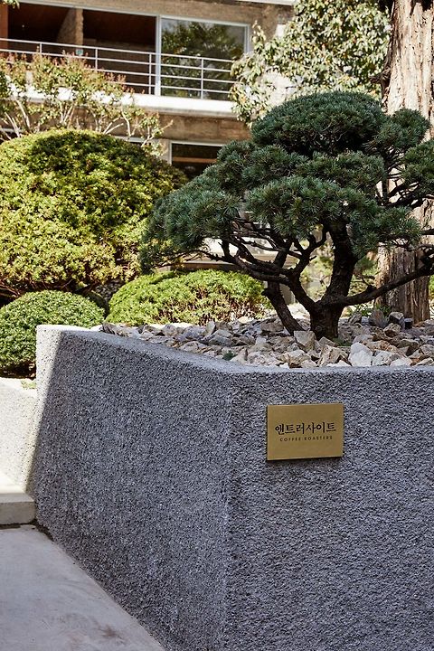 앤트러사이트 서교점