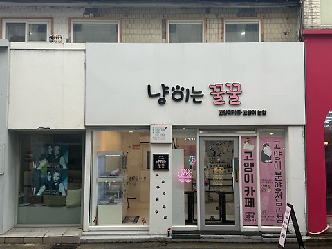 냥이는꿀꿀