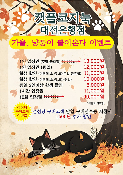 캣플코지 눅 대전은행점