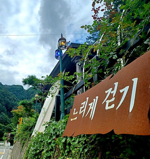 카페느리게걷기