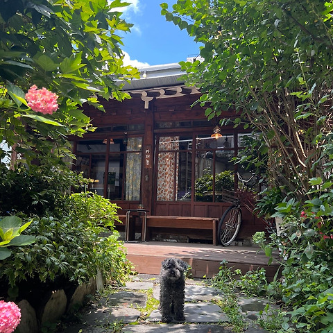 카페놈