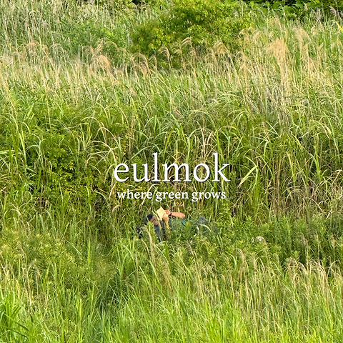 을목