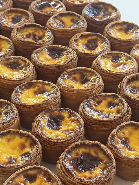 옥토끼