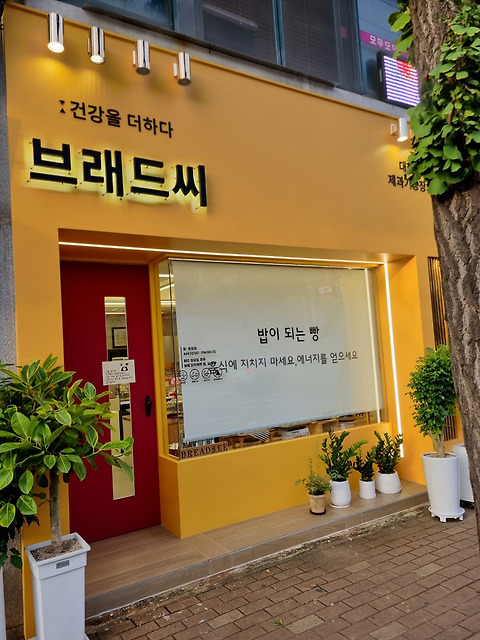 브래드씨 내외동점