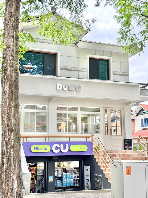 도모