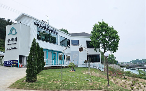 순백채