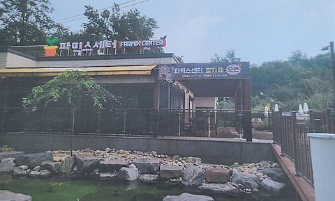 팜카페