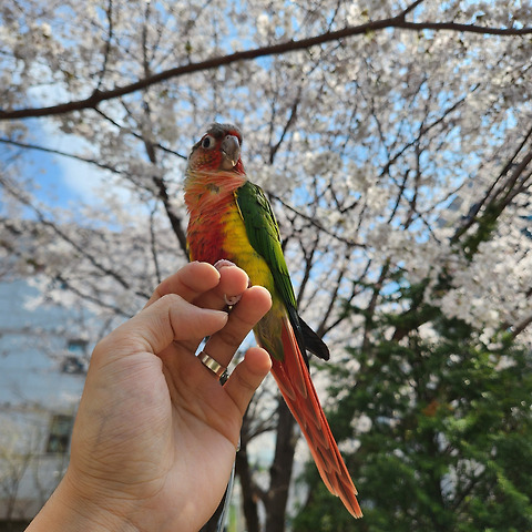 숨