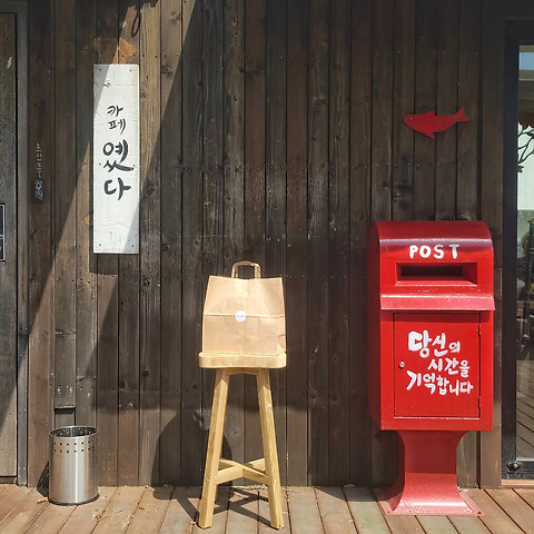 물고기나무