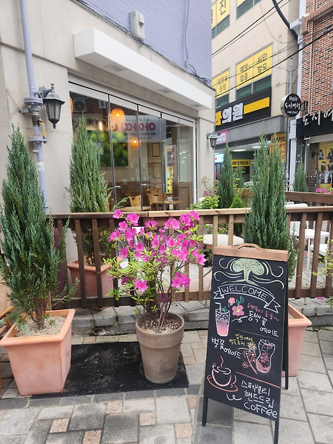 카페 모녹