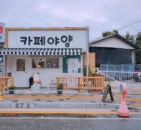 카페야양