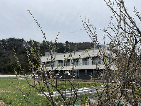 선소207