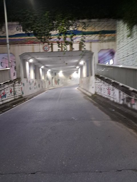 서울-부산 걷기 (6일 22시간 부산 진입)