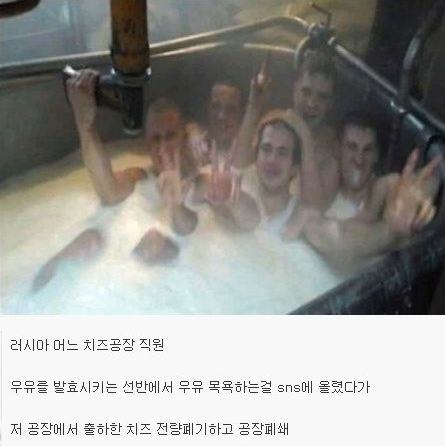 [유머]불곰국의 치즈공장 클라스