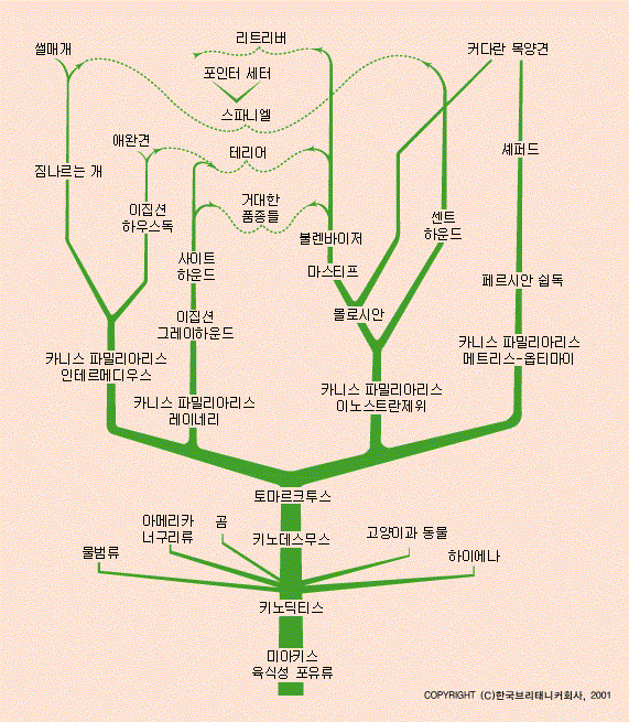 개