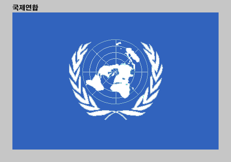국제연합 기