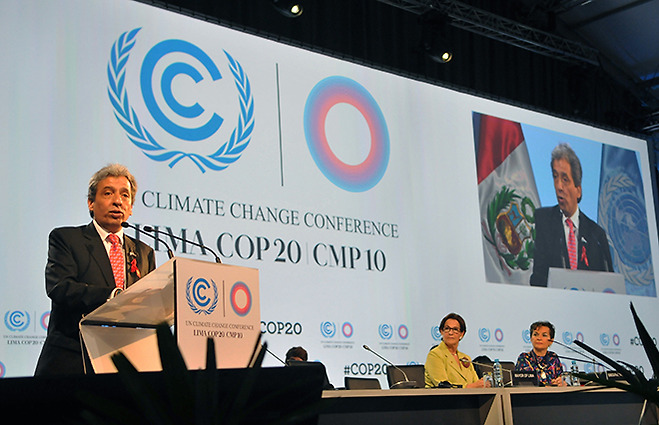 2015년에 열린 제20차 당사국총회(COP20)