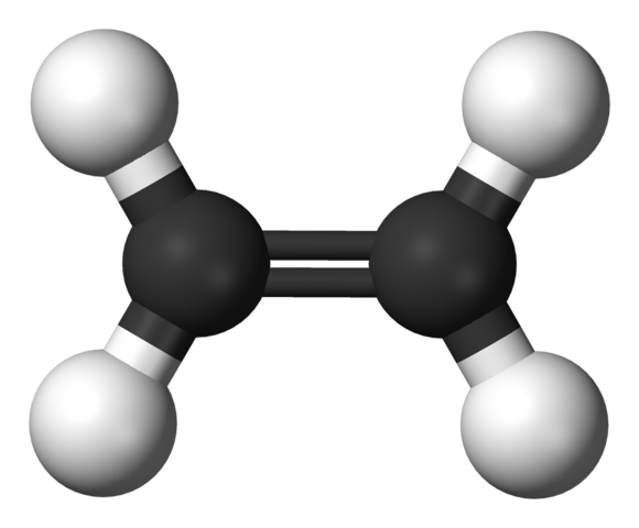 에틸렌(ethylene)