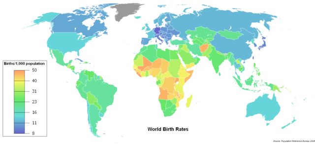 2008년 세계 출생률(birth rates)