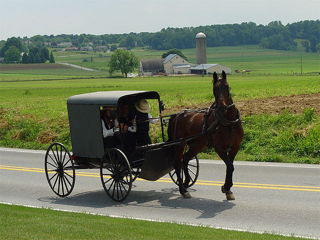 암만파(Amish)