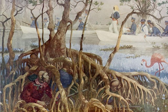 세미놀 전쟁(Seminole Wars)