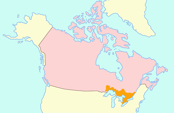캐나다웨스트(Canada West)