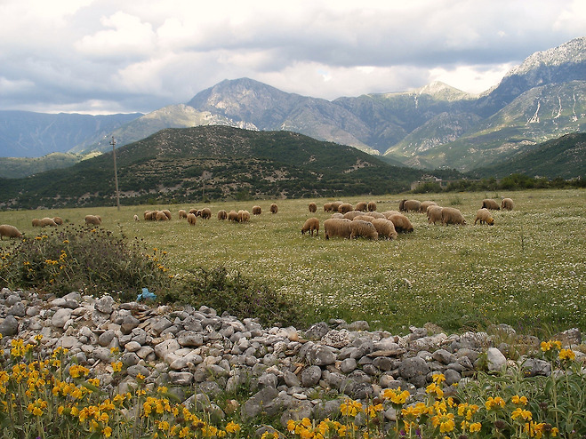 알바니아의 농업