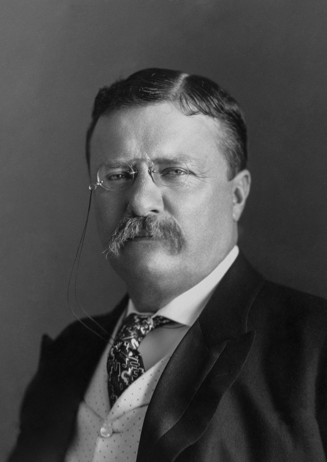 시어도어 루스벨트(Theodore Roosevelt)