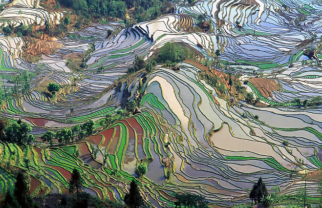 아시아의 농업 