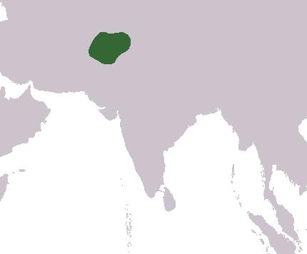간다라(Gandhara)