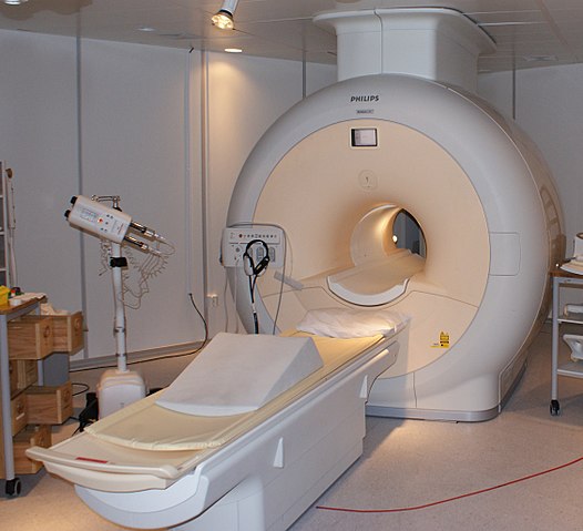 자기공명영상(magnetic resonance imaging/MRI)